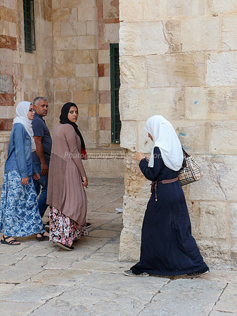 Young Arab lady working electronically 2