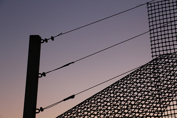 Garden Screen in Sunset 3