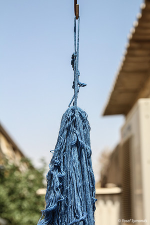 Techelet Blue Strings Drying after Coloration 2
