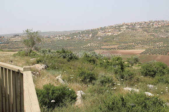 View of Dotan Valley from Maoz Tzvi 4