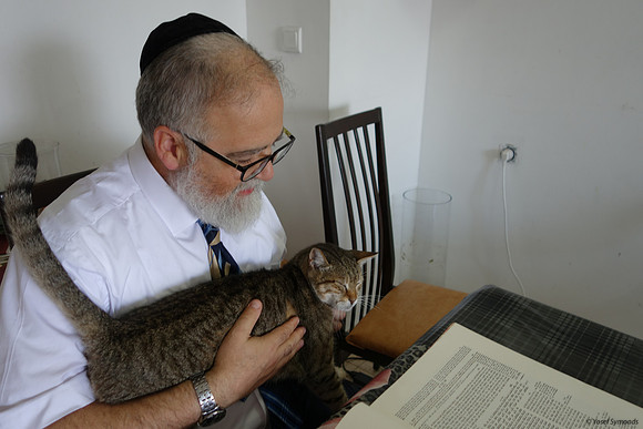 Cat with Affinity to Gemorrah 4