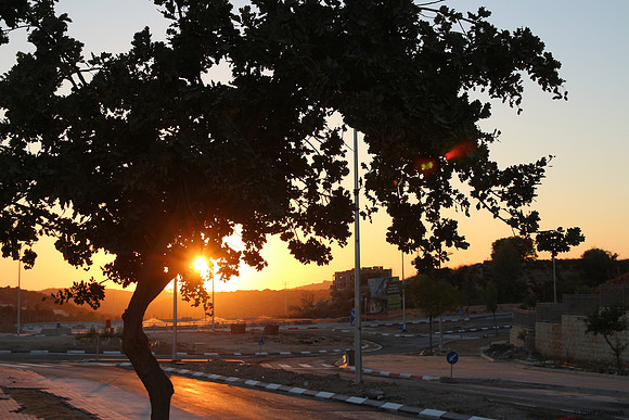 Hayarkon Street Sunset