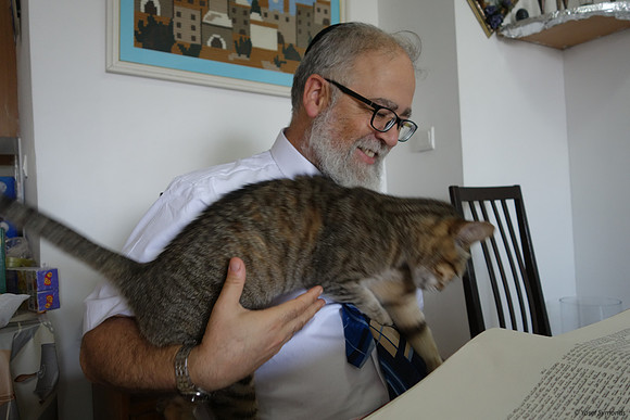 Cat with Affinity to Gemorrah 3