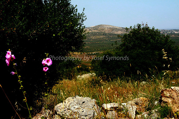 Maoz Tzvi, Mevo Dotan, Emek Dotan, Dotan Valley