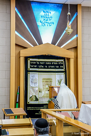 Prayer Leader Before Holy Ark 2