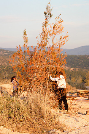 Erev Lag BaOmer 2015