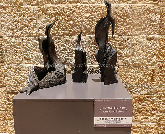 Sharp Beaks 1