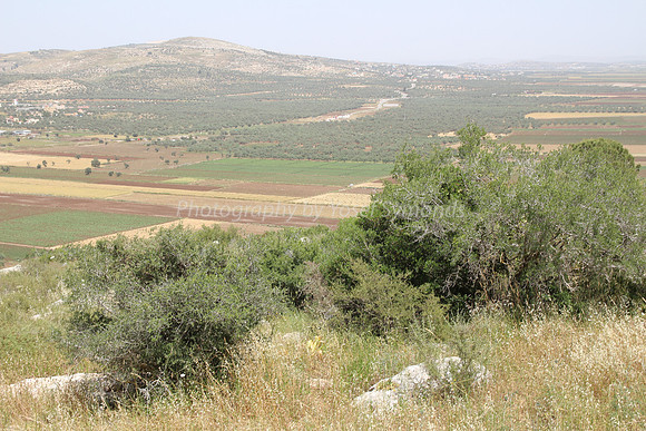 View of Dotan Valley from Maoz Tzvi 2