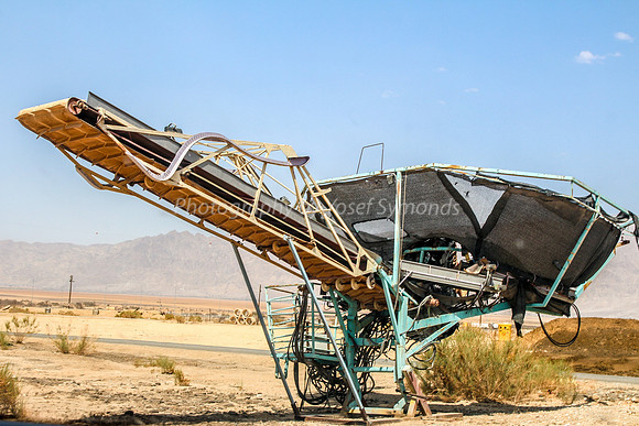 Combined Date Harvester and Packer 2