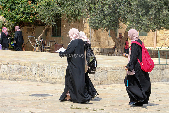 Arab Ladies Walking and Reading 2
