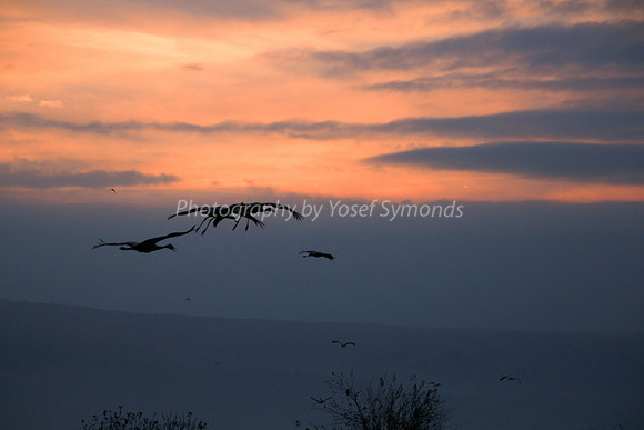 Flying Under Radar of Sunrise