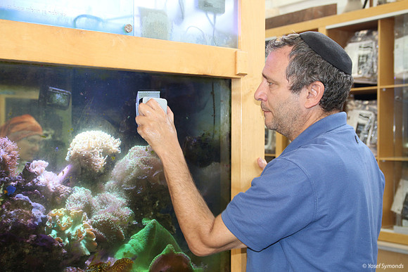 Cleaning Both Sides of Aquarium Wall with  Magnetic Unit 2