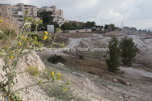 Mishkafayim 2014 Q3 7995