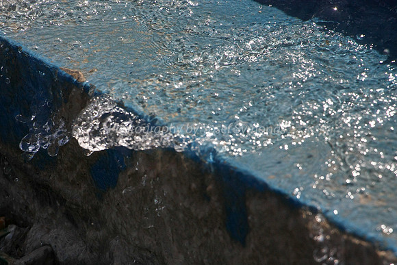 Water Ghost of Terrified Rabbit in Flight