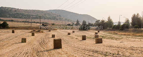 Haystacks in Field Against Sun 170721-1