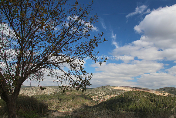 View to East 1 - Mishkafayim 2017 Q1