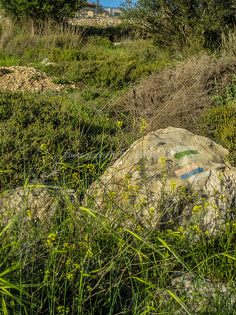 SPNI Marker Stone 2014-1