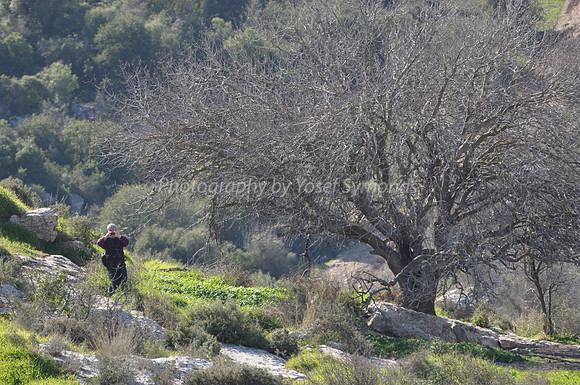 Yosef Symonds Photographing from The Hill 1