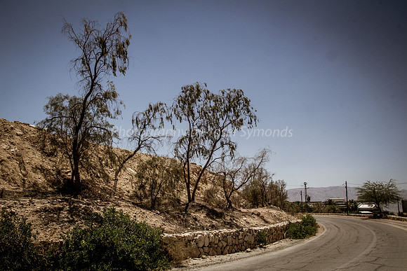 Road Leading Up to Grofit