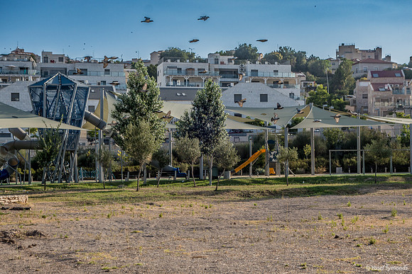 Low Flying Squadron 230730-1