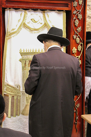 Man Praying at Kotel 8