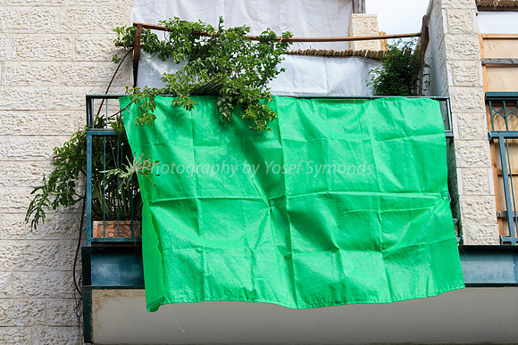 Green with Envy Sukkah 1