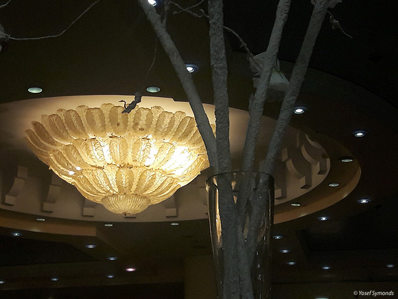 Ceiling Light 3