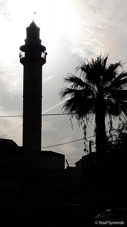 Minaret and Tree - Ramle 6