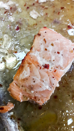 Piece of Salmon