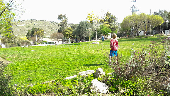 Boy on Kibbutz Field