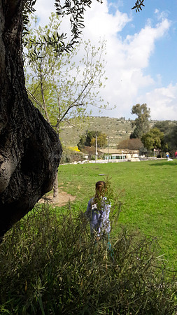 Girl Behind Tree 3