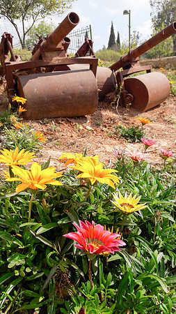 Flowers and Roller Canons 1