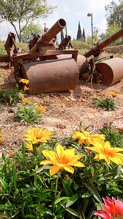 Flowers and Roller Canons 2