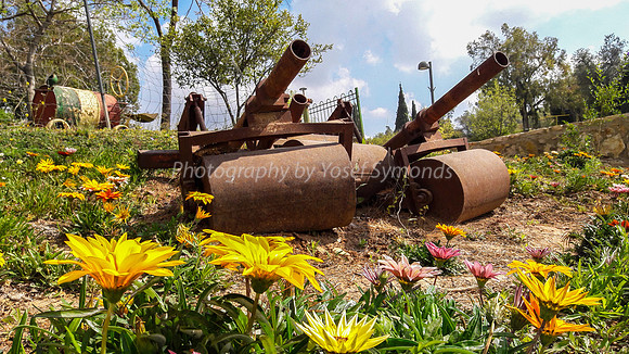 Flowers and Roller Canons 3