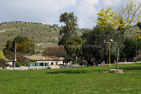 Kibbutz Recreation Field 2