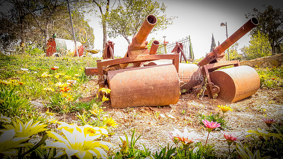 Flowers and Roller Canons 4