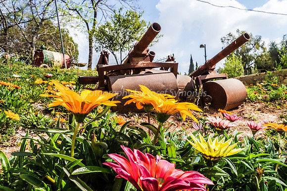Flowers and Roller Canons 8