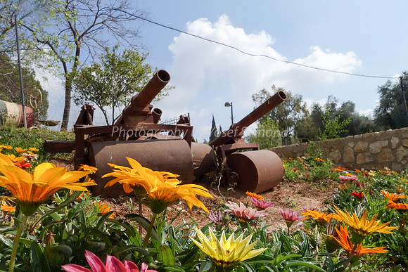 Flowers and Roller Canons 9