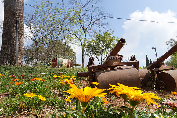 Flowers and Roller Canons 10