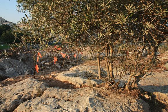 Mem 3 Antiquities Ramat Beit Shemesh  (21)