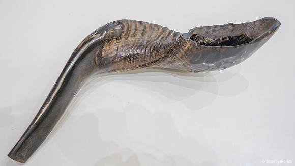 Shofar 190901-2