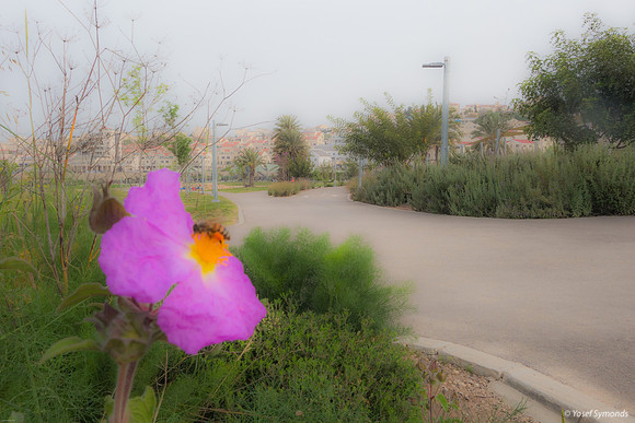 DSC05003