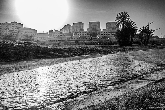 DSC05069