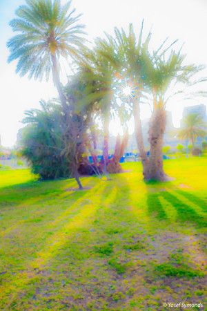 DSC05071