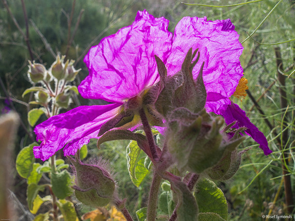 DSC05167