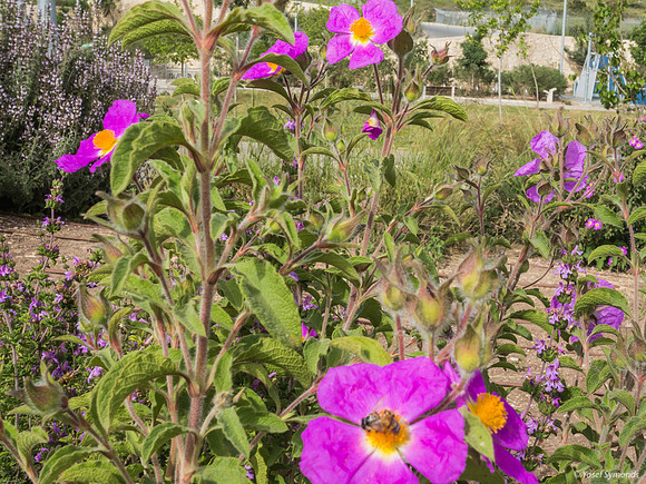 DSC05180