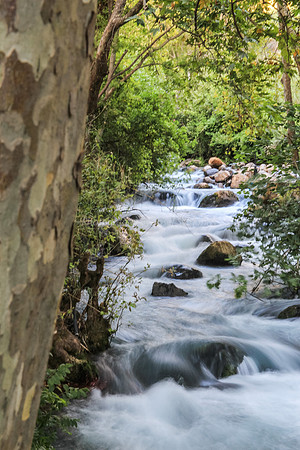 130528-Hula_Valley-2387-2