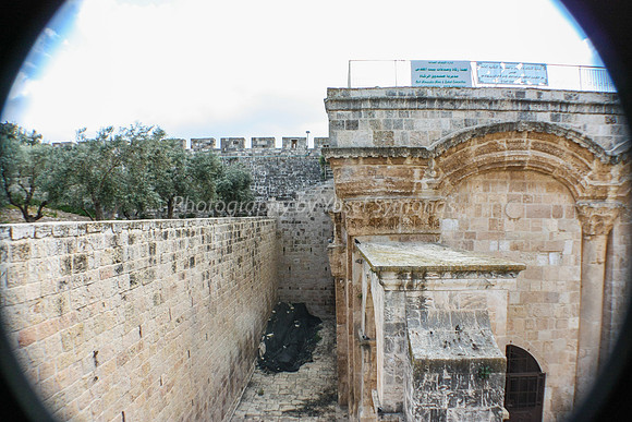 Gate of Mercy and Covered Timbers