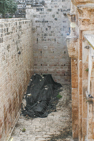 Covered but Exposed Ancient Timbers 1