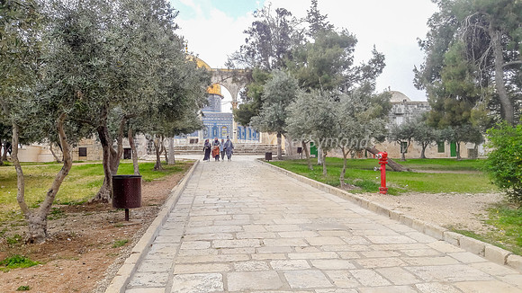 4 Young Arab Ladies Unaccompanied on Mount